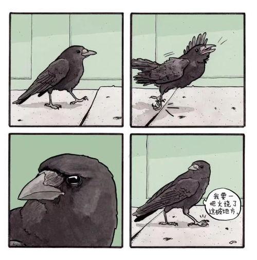 鸟的漫画4,鸟儿奇遇记