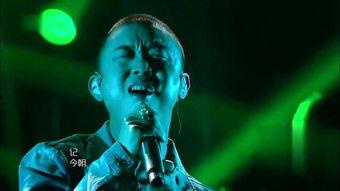 娱乐圈吃瓜唱歌小说,瓜田歌声，爱恨情仇